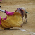 Castellón, Magdalena 2013