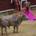 Castellón, Magdalena 2013
