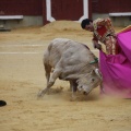 Castellón, Magdalena 2013