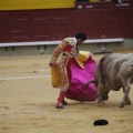 Castellón, Magdalena 2013