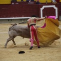 Castellón, Magdalena 2013