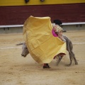 Castellón, Magdalena 2013