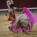 Castellón, Magdalena 2013