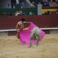 Castellón, Magdalena 2013