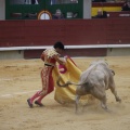 Castellón, Magdalena 2013