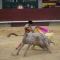 Castellón, Magdalena 2013