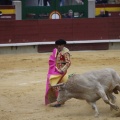 Castellón, Magdalena 2013