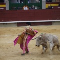 Castellón, Magdalena 2013