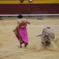 Castellón, Magdalena 2013