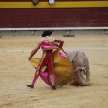 Castellón, Magdalena 2013