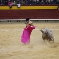 Castellón, Magdalena 2013