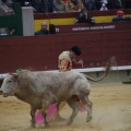 Castellón, Magdalena 2013