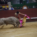 Castellón, Magdalena 2013