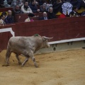 Castellón, Magdalena 2013