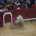 Castellón, Magdalena 2013