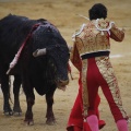 Castellón, Magdalena 2013