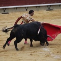 Castellón, Magdalena 2013