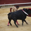 Castellón, Magdalena 2013
