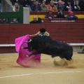 Castellón, Magdalena 2013