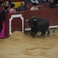 Castellón, Magdalena 2013