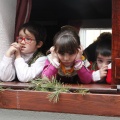 Castellón, Magdalena 2013
