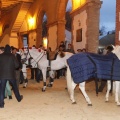 Castellón, Magdalena 2013