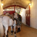 Castellón, Magdalena 2013
