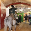 Castellón, Magdalena 2013