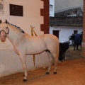 Castellón, Magdalena 2013