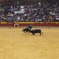 Castellón, Magdalena 2013