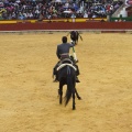 Castellón, Magdalena 2013