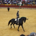 Castellón, Magdalena 2013