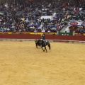 Castellón, Magdalena 2013