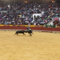 Castellón, Magdalena 2013