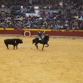 Castellón, Magdalena 2013
