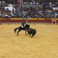 Castellón, Magdalena 2013