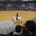 Castellón, Magdalena 2013