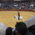 Castellón, Magdalena 2013