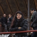 Castellón, Magdalena 2013