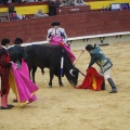 Castellón, Magdalena 2013
