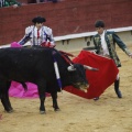 Castellón, Magdalena 2013