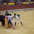 Castellón, Magdalena 2013