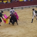 Castellón, Magdalena 2013