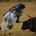 Castellón, Magdalena 2013