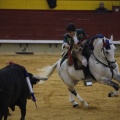 Castellón, Magdalena 2013