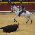 Castellón, Magdalena 2013