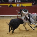 Castellón, Magdalena 2013