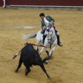 Castellón, Magdalena 2013