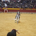 Castellón, Magdalena 2013