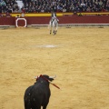 Castellón, Magdalena 2013